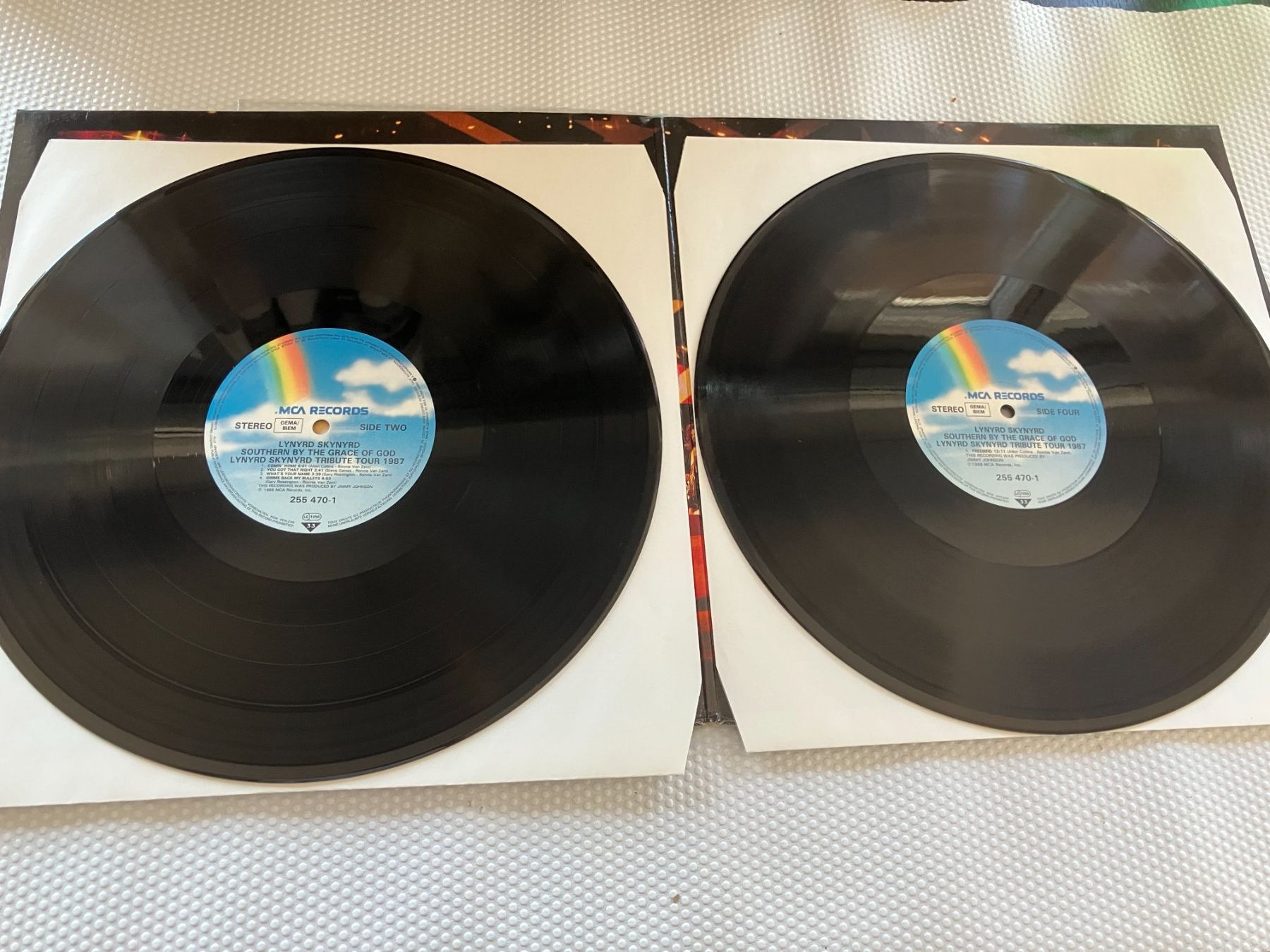 Dischi in vinile: Lynyrd Skynyrd – Usato da Aarwangen venduto da Jukebox3 8