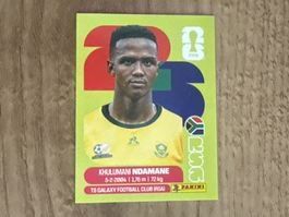 Panini Sticker FIFA WM 2140 Khulumani Ndamane RSA7