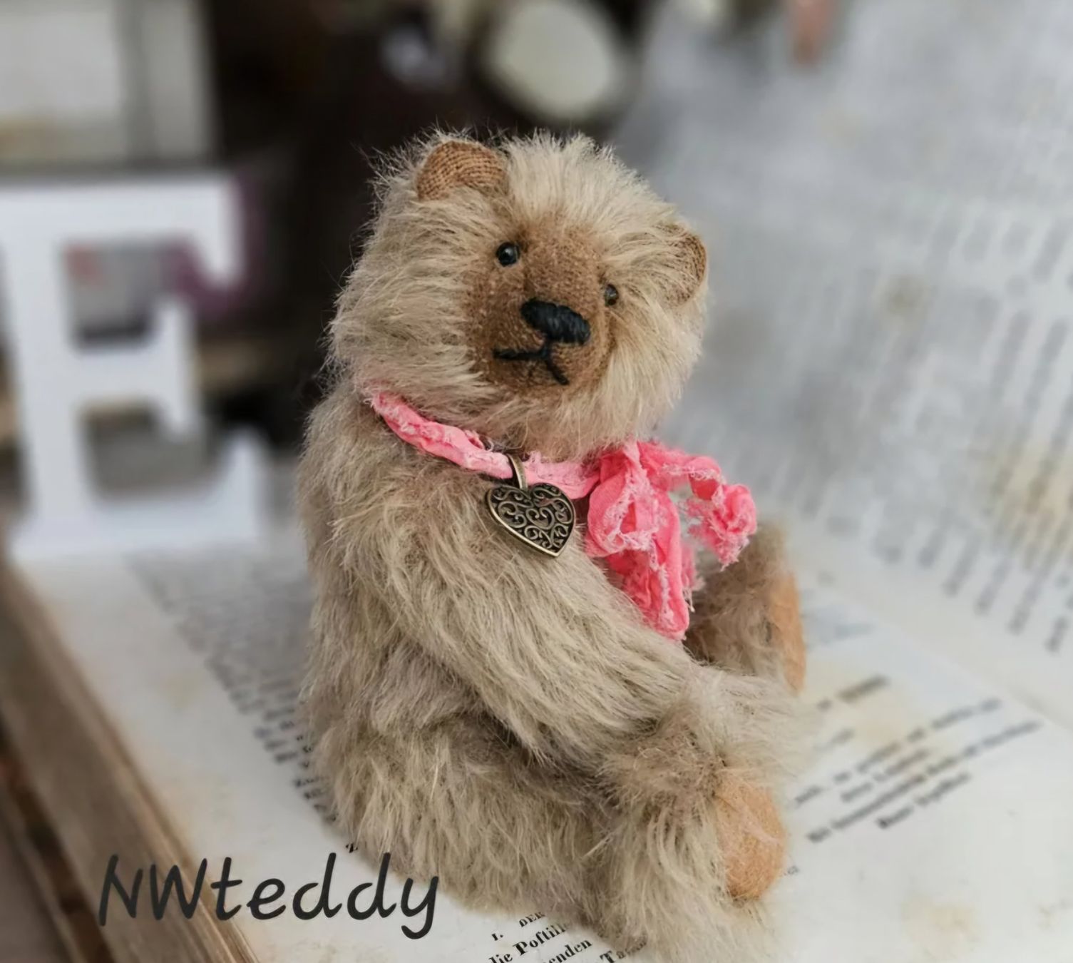 Giocattoli: Teddy Bär – Nuovo (secondo la descrizione) da Chur venduto da nataliiaw 3