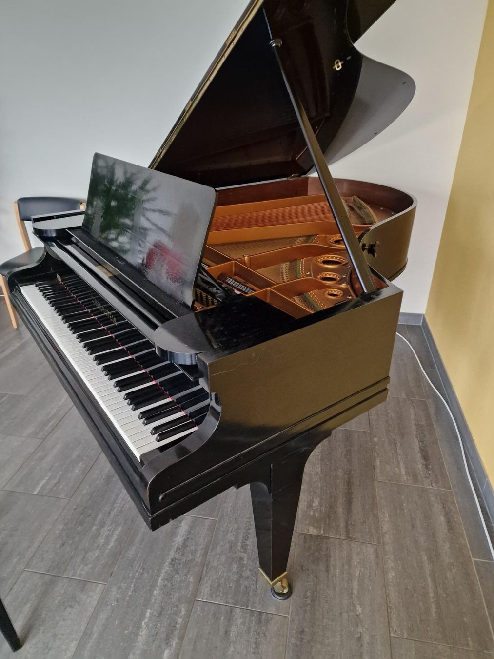 Musikinstrumente: Flügel C. Bechstein zu verkaufen. – Gebraucht aus Eschenbach SG von Hoerbys