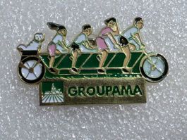 Ansteckpin 250: Groupama