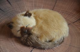 DEKO KATZE