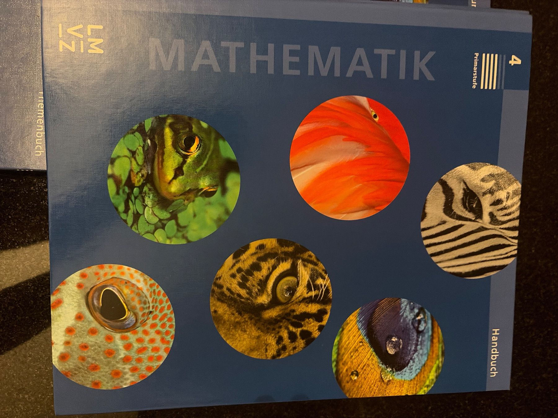 Bücher: Mathe Primarstufe Buch 4 Lehrmittel LMVZ – Gebraucht aus Küsnacht ZH von vbo_qsq5 1