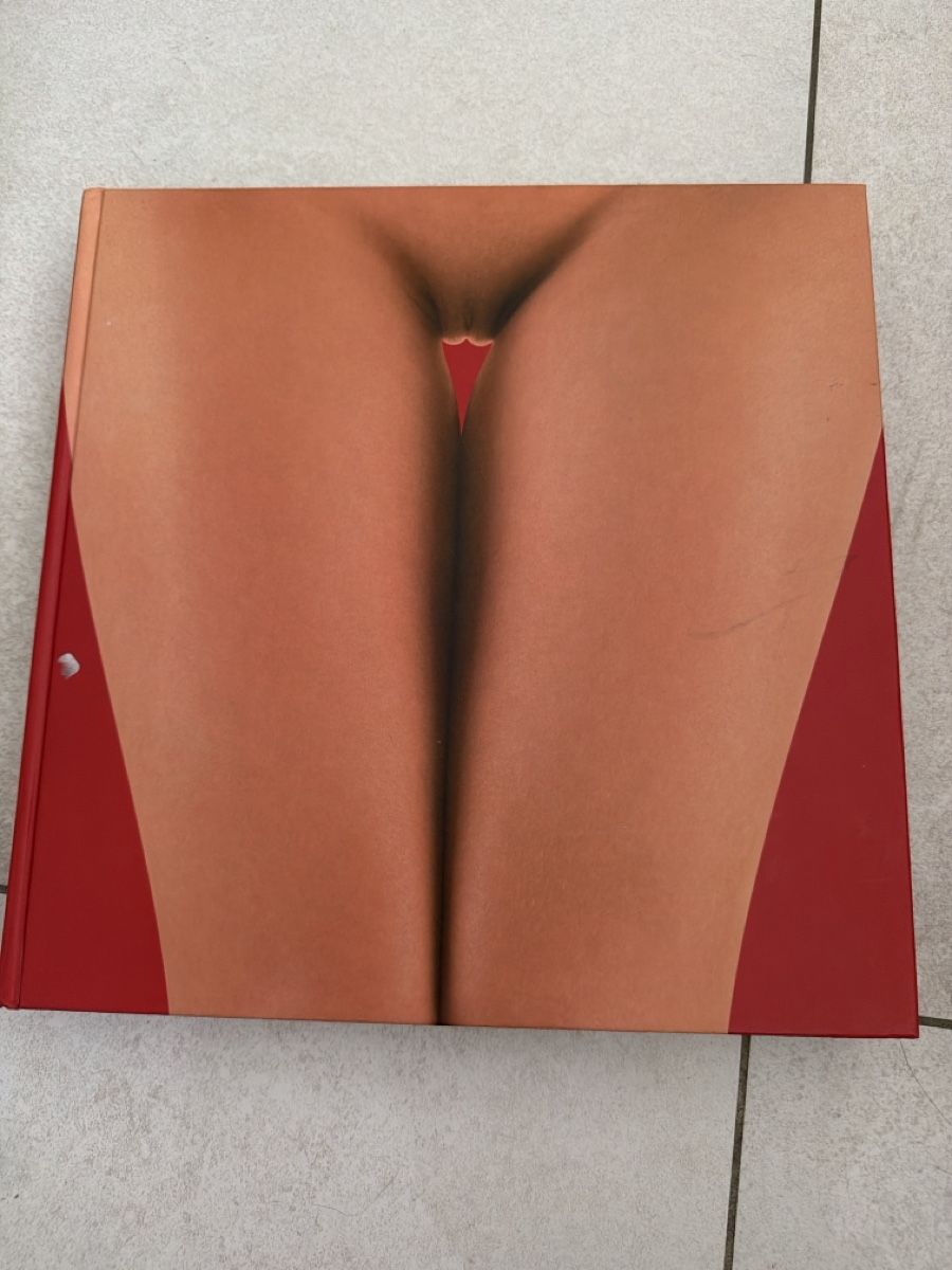Bücher: Book " Pin-Ups" excellent condition – Gebraucht aus Martigny von Jacoosh1234