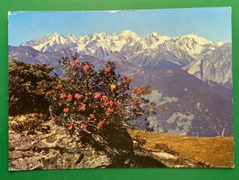 Verbier - le massif du Trient