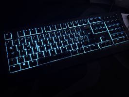 Razer Cynosa V2 RGB Tastatur sehr sauber top