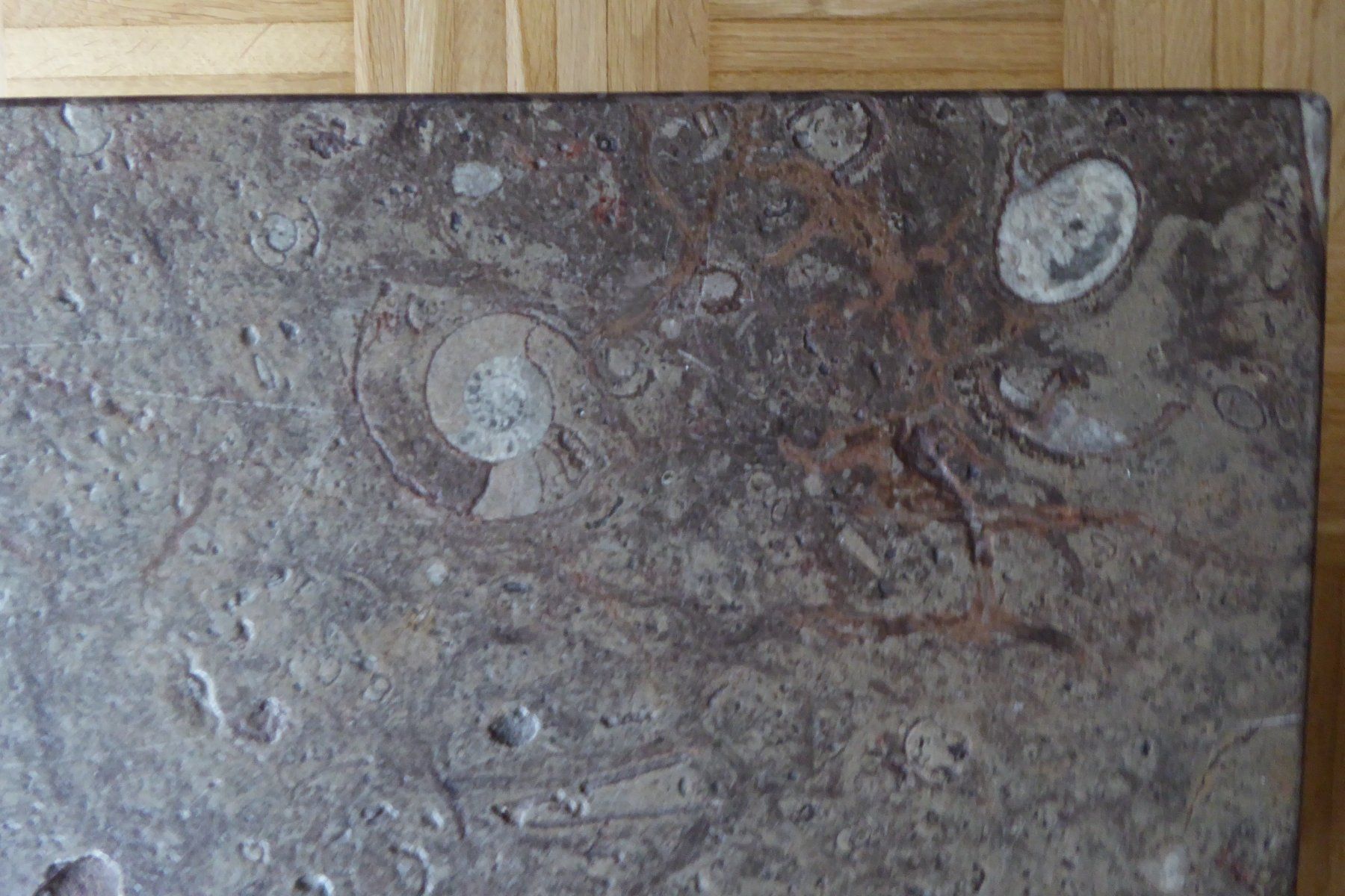 Tavoli: Salontisch Natursteinplatte "Fossilien" – Usato da Bischofszell venduto da MZumbach 4