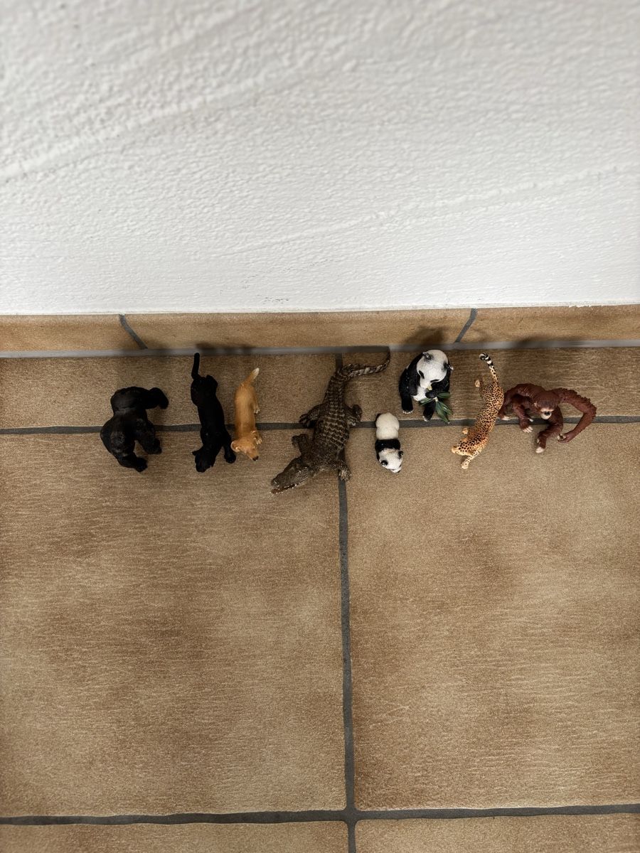 Schleich Figurines: 8 Schleich Tiere – D'occasion à Bachenbülach par Queen_K 1
