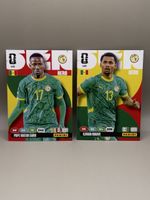 Panini Adrenalyn XL - 425 & 426