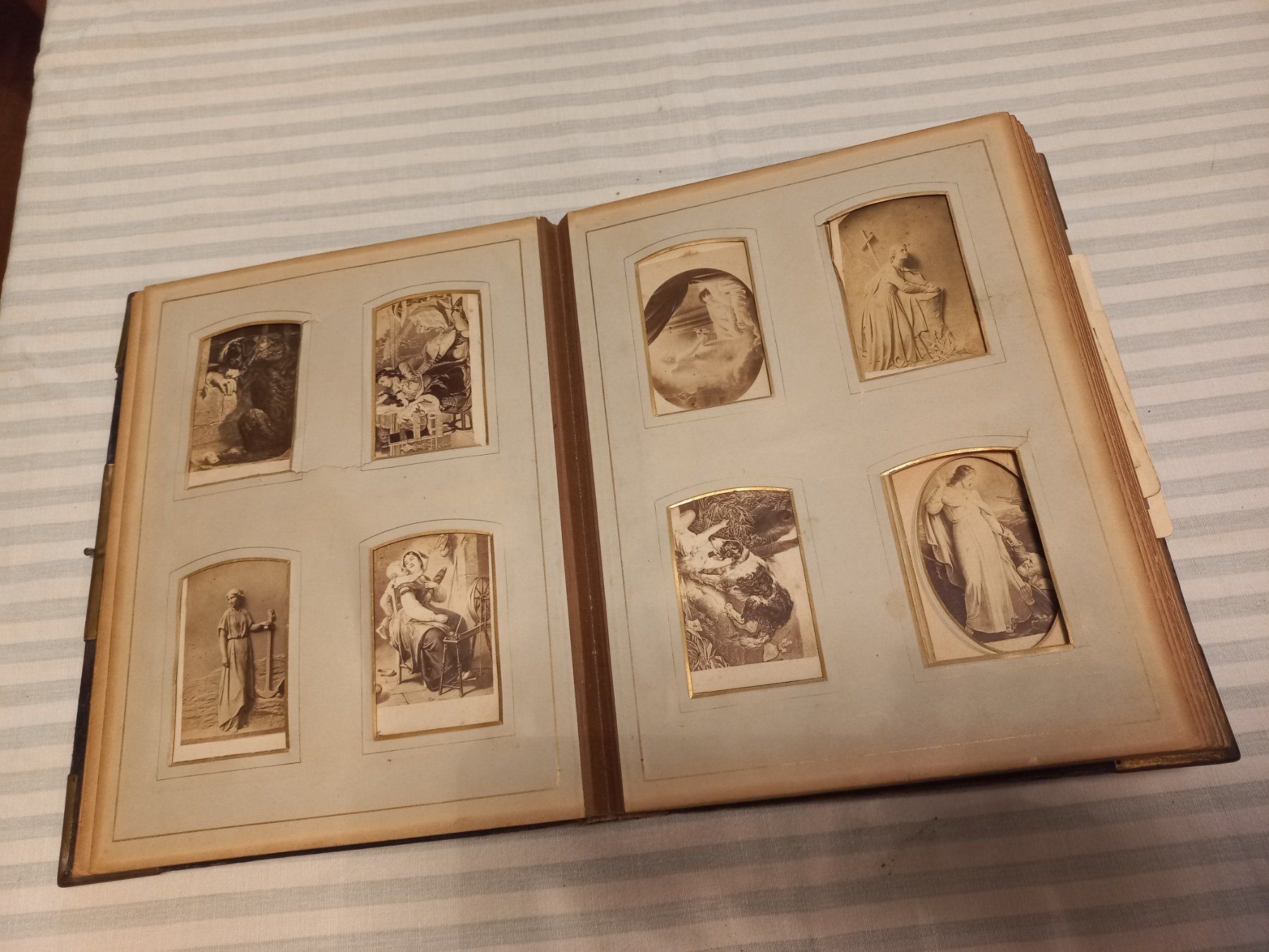 Album: Antike Fotoalbum – Usato da Reinach BL venduto da Niculescu 5