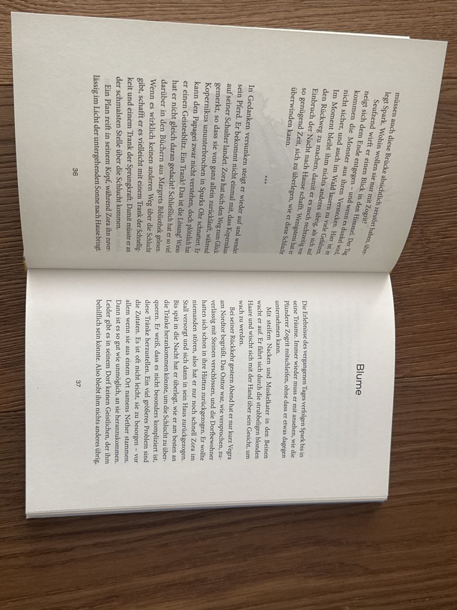 Bücher: Minecraft Buch – Gebraucht aus Pratteln von Nala78 3