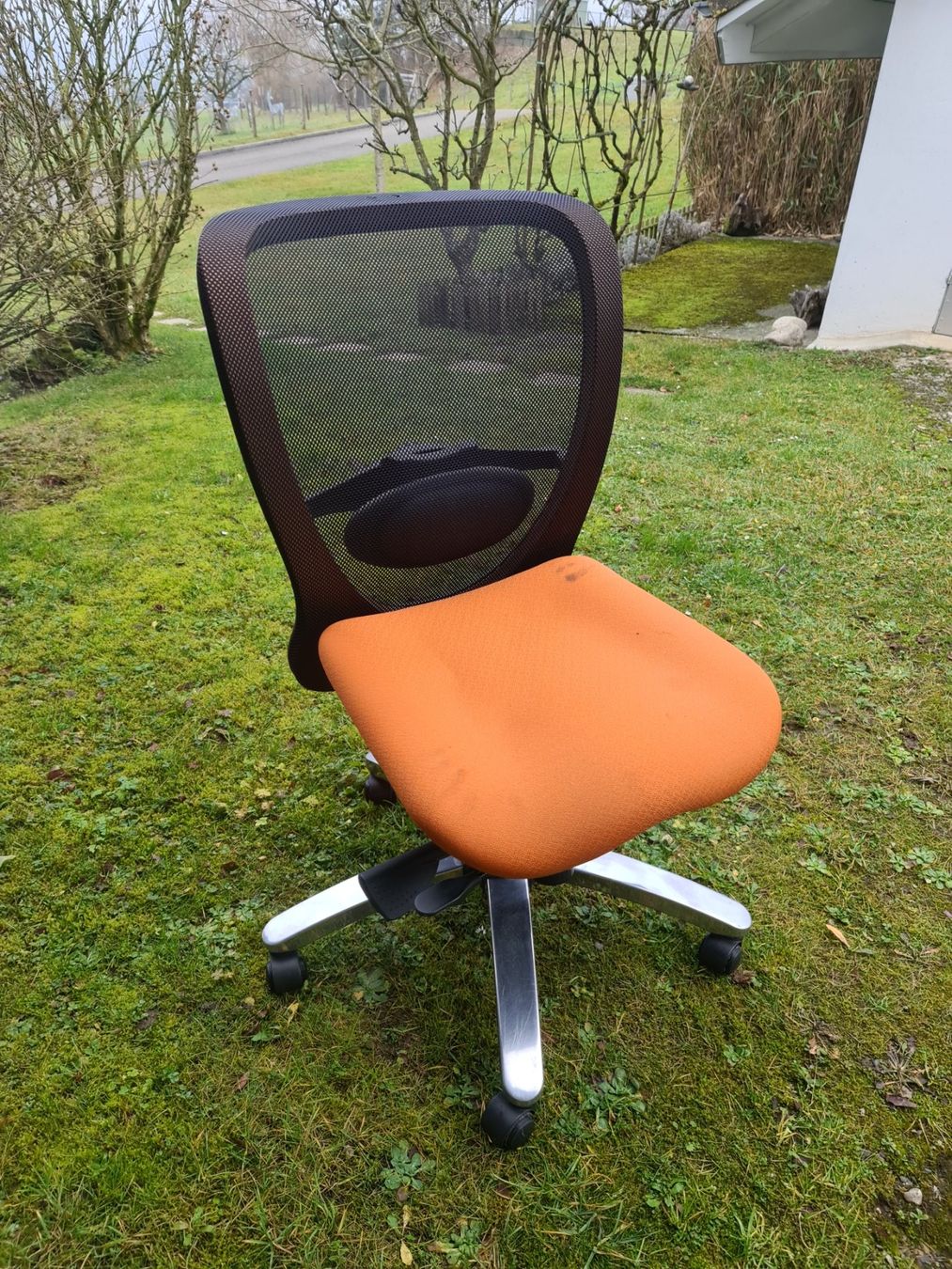 Sedie: Ergonomischer Bürostuhl, OMLIN orange – Usato da Niederlenz venduto da DaveDasWahnsinn