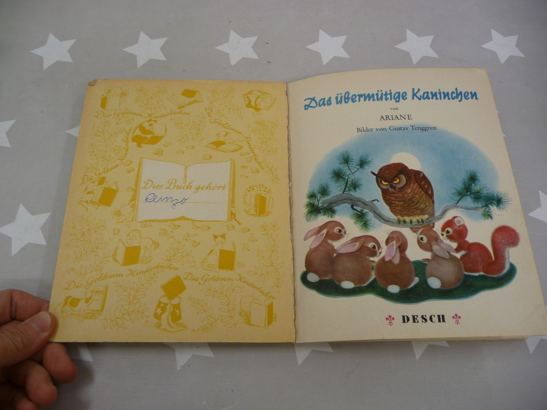 Libri: Buch: Das übermütige Kaninchen – Usato da Rafz venduto da Powacaddy 2