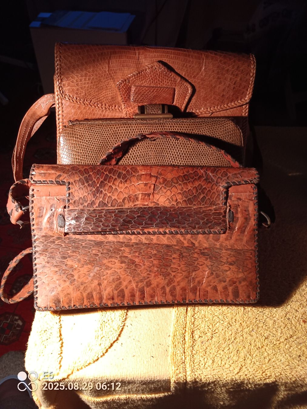 Borse da donna: 3 Echsen-Reptilledertaschen – Usato da Zürich venduto da Mitzi6