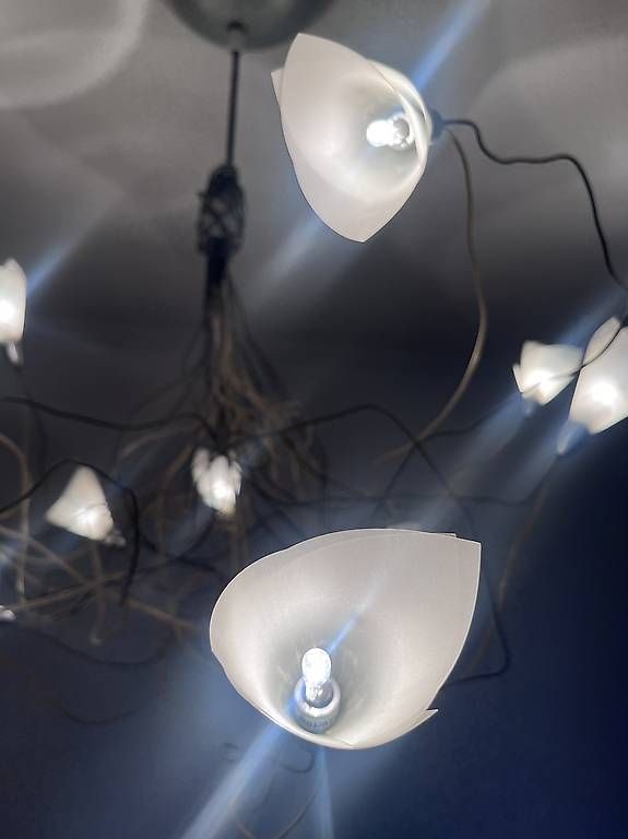 Lampadari & plafoniere: Lampe à suspension forale et design – Usato da Lausanne venduto da Ariel_Zimann 1