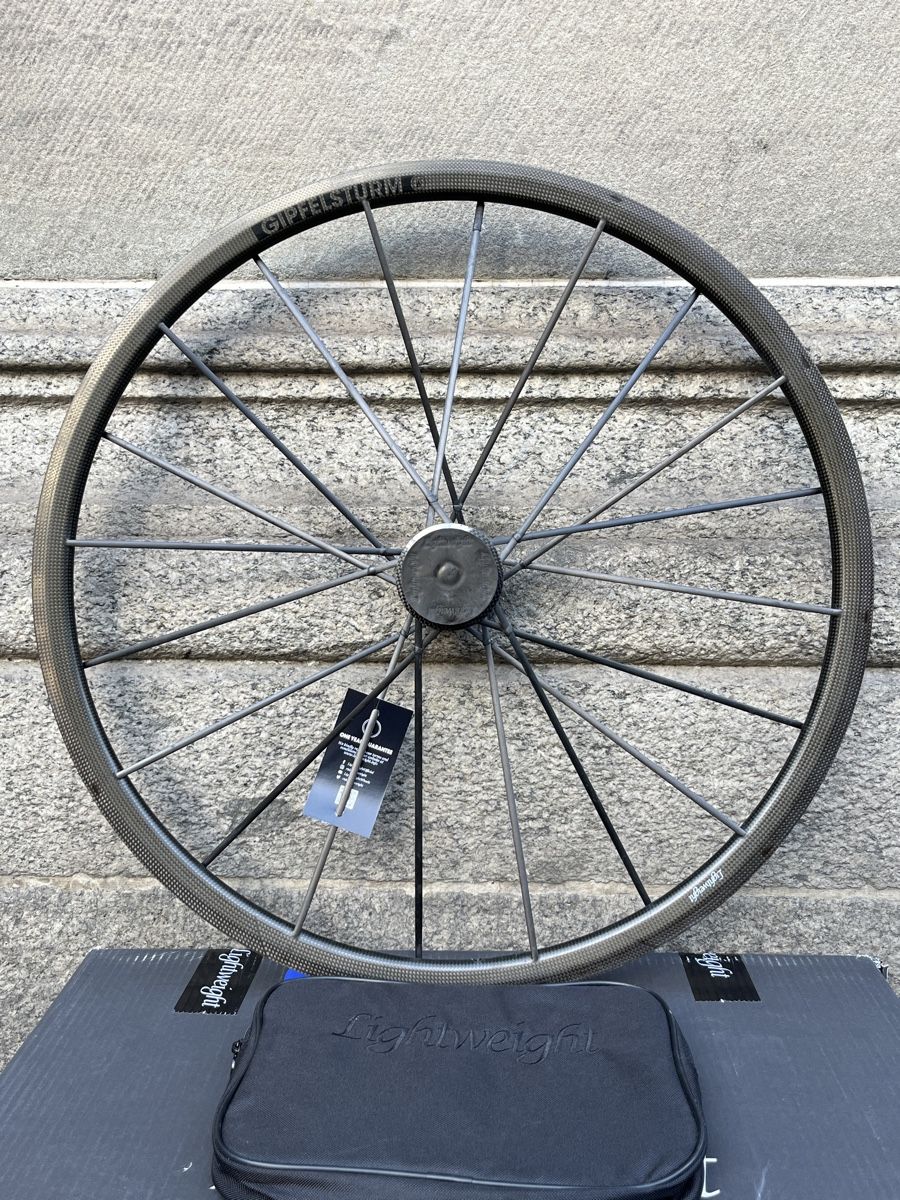 Pièces détachées: Lightweight Gipfelsturm Vorderrad – D'occasion à Oberengstringen par super-soft-focus