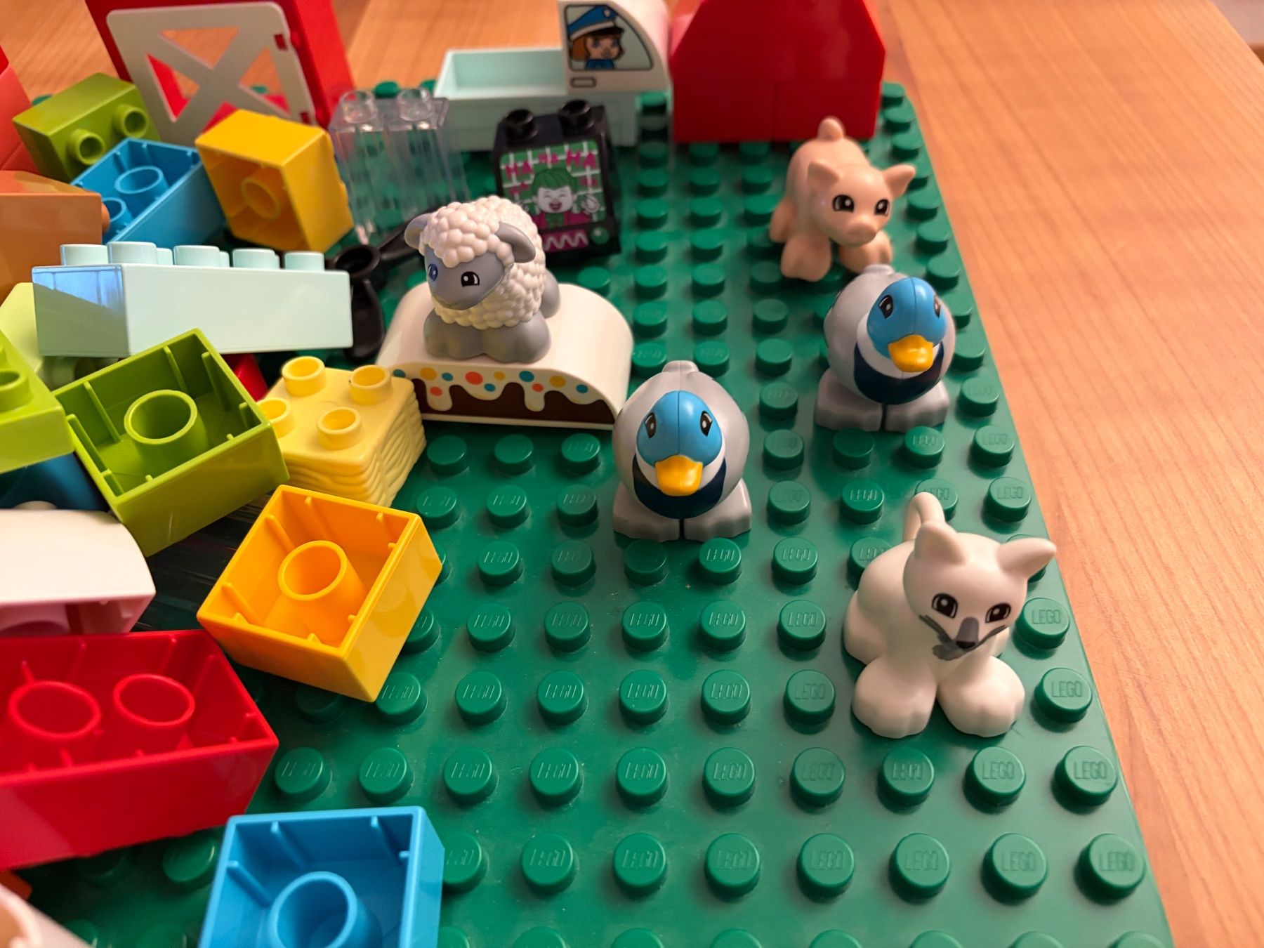 Spielzeuge: Duplo Bausteine mit Bauplatte – Gebraucht aus Baden von Daphne19 1
