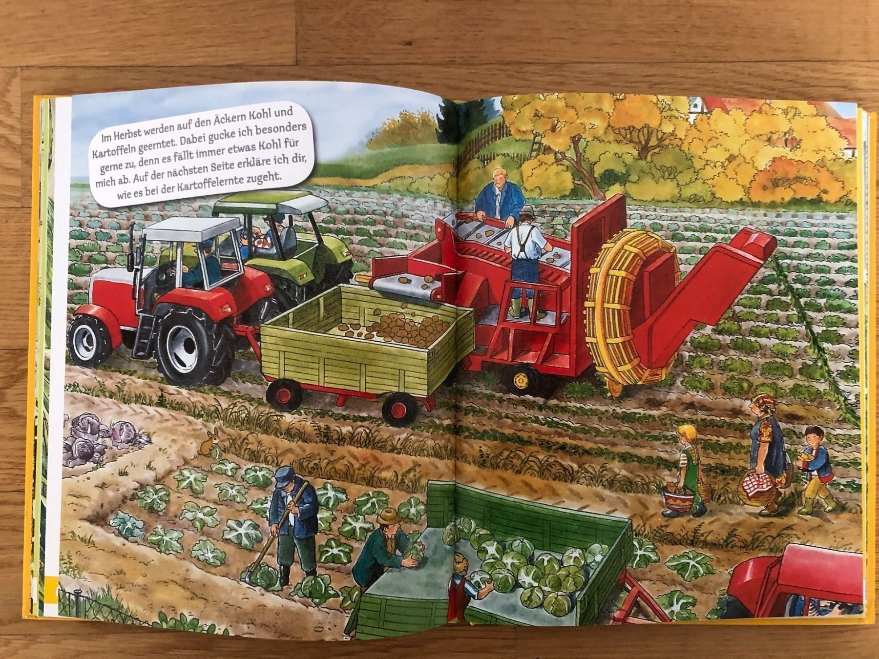 Libri: Schönes Bauernhof Buch – Usato da Buchs SG venduto da sunset55 3