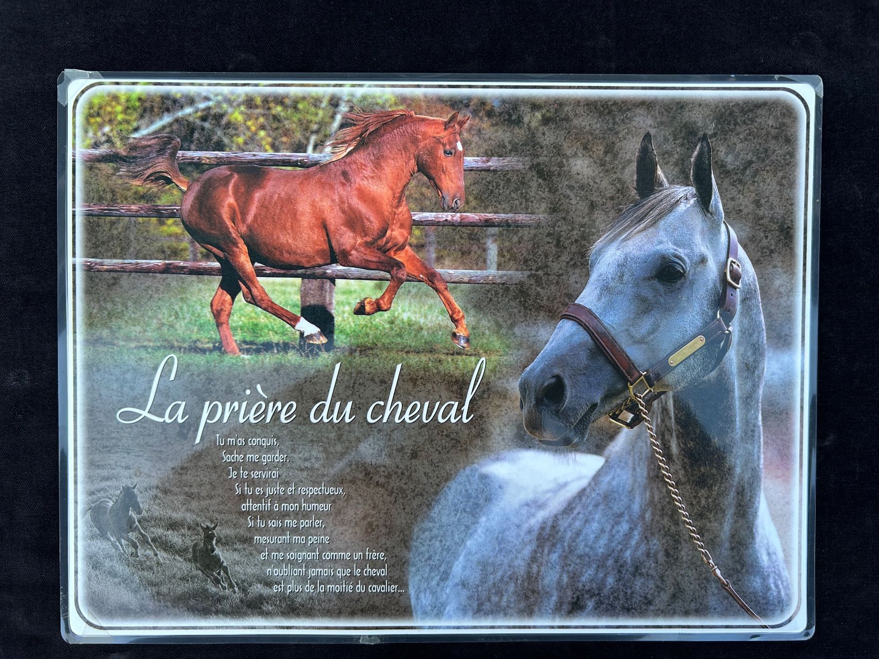 Set di tavolo e panche: Tisch-Set: Pferde Chevaux – Usato da Thalwil venduto da Polichimelle