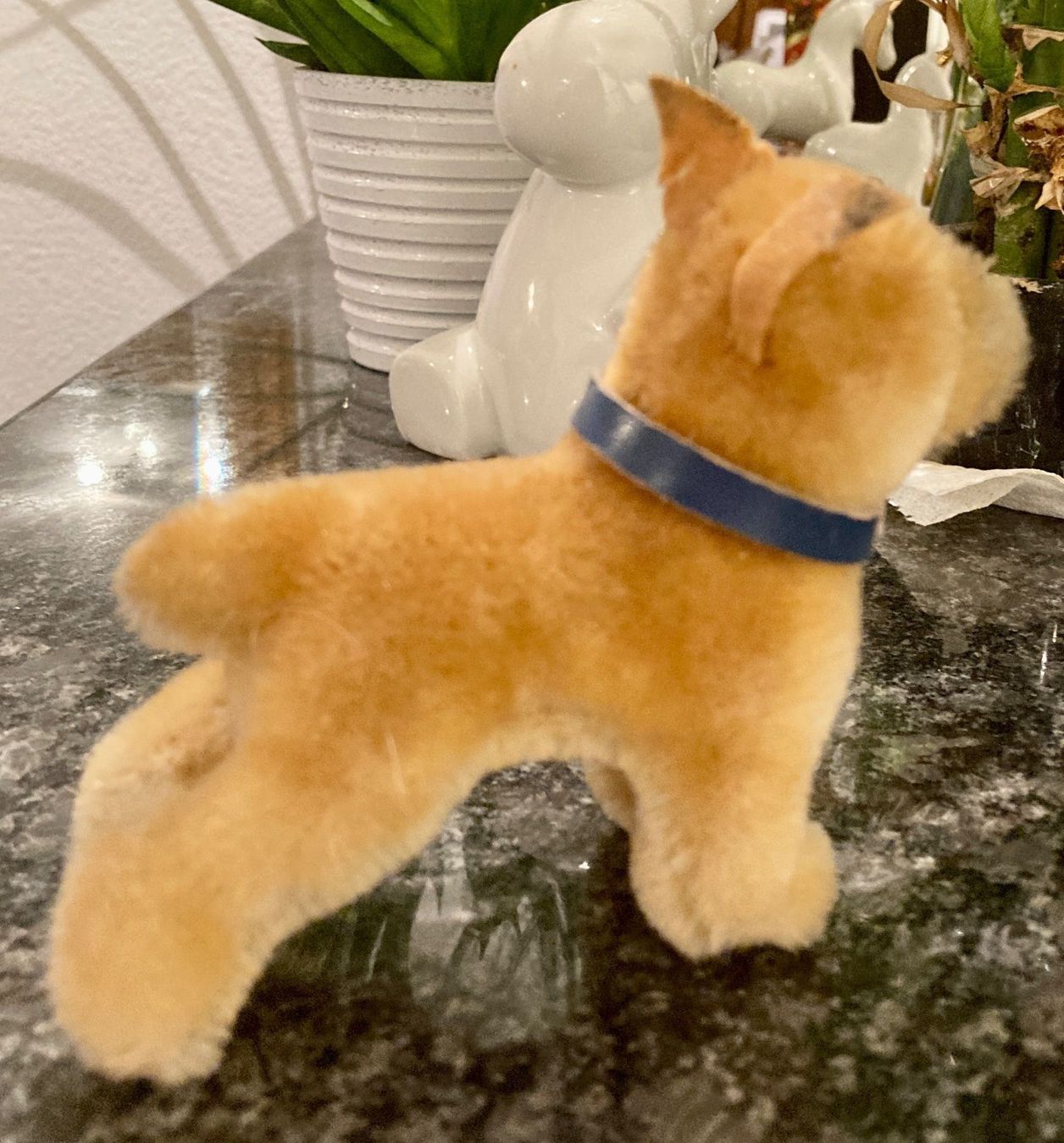 Steiff Giocattoli: Hund Dogge klein - antikes Steiff Tier – Usato da Rütihof venduto da Kelani 1