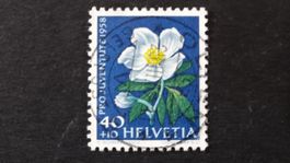 Vollstempel OLTEN  SBK J177  25.III.59    95