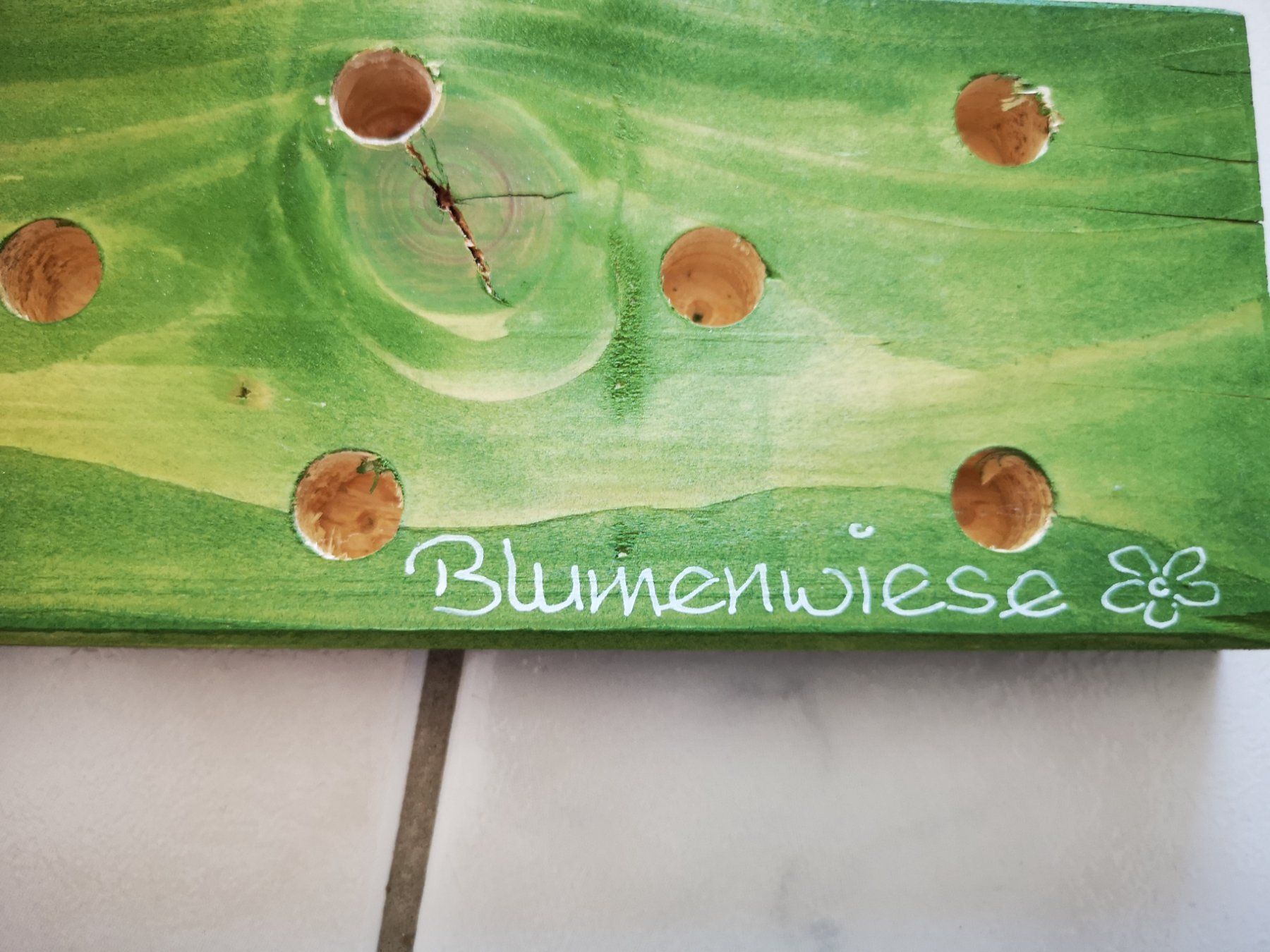 Alle Dekorationen: Geschenkidee "Blumenwiese" – Neu (gemäss Beschreibung) aus Arth von Africa44 3