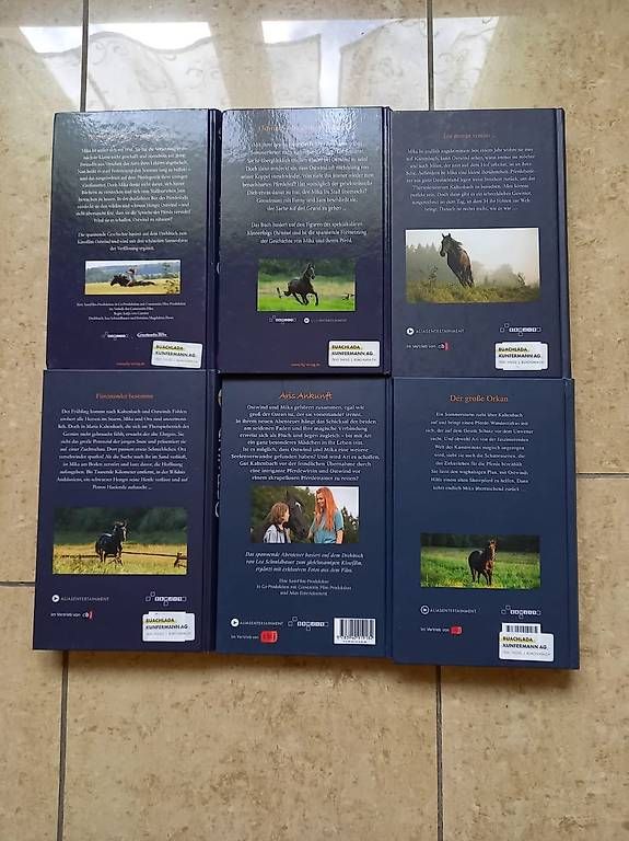 Bücher: Ostwind 1-6 – Gebraucht aus Sils im Domleschg von masein 1