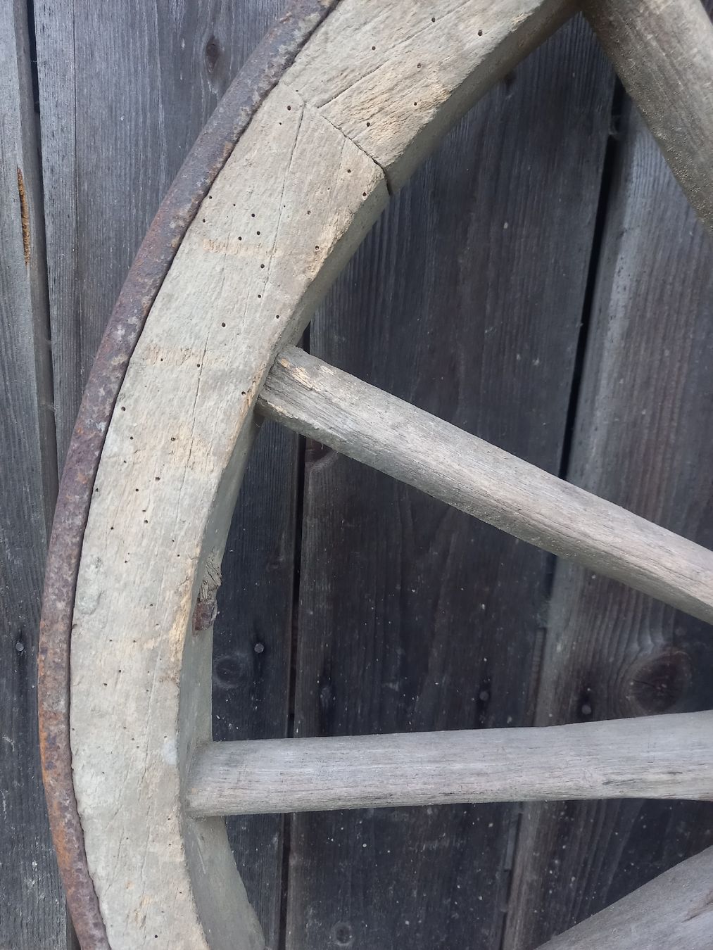 Pneumatici & Ruote complete: Antikes eisenbereiftes Wagenrad – Usato da Galgenen venduto da Allerlei8854 3