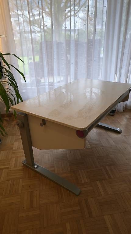 Moll Schreibtische: MOLL Schreibtisch Winner Classic – Gebraucht aus Pfäffikon SZ von siobz