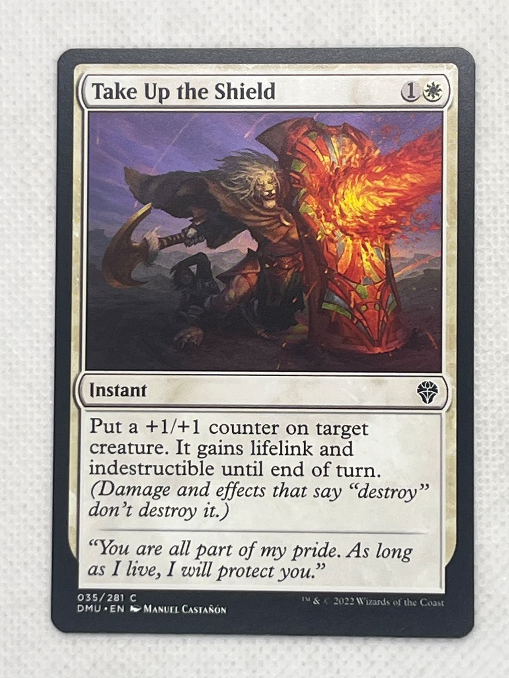 Magic The Gathering Cartes à collectionner: MTG Take Up the Shield DMU 035 Englisch Common – D'occasion à Hinterkappelen par Kim1992