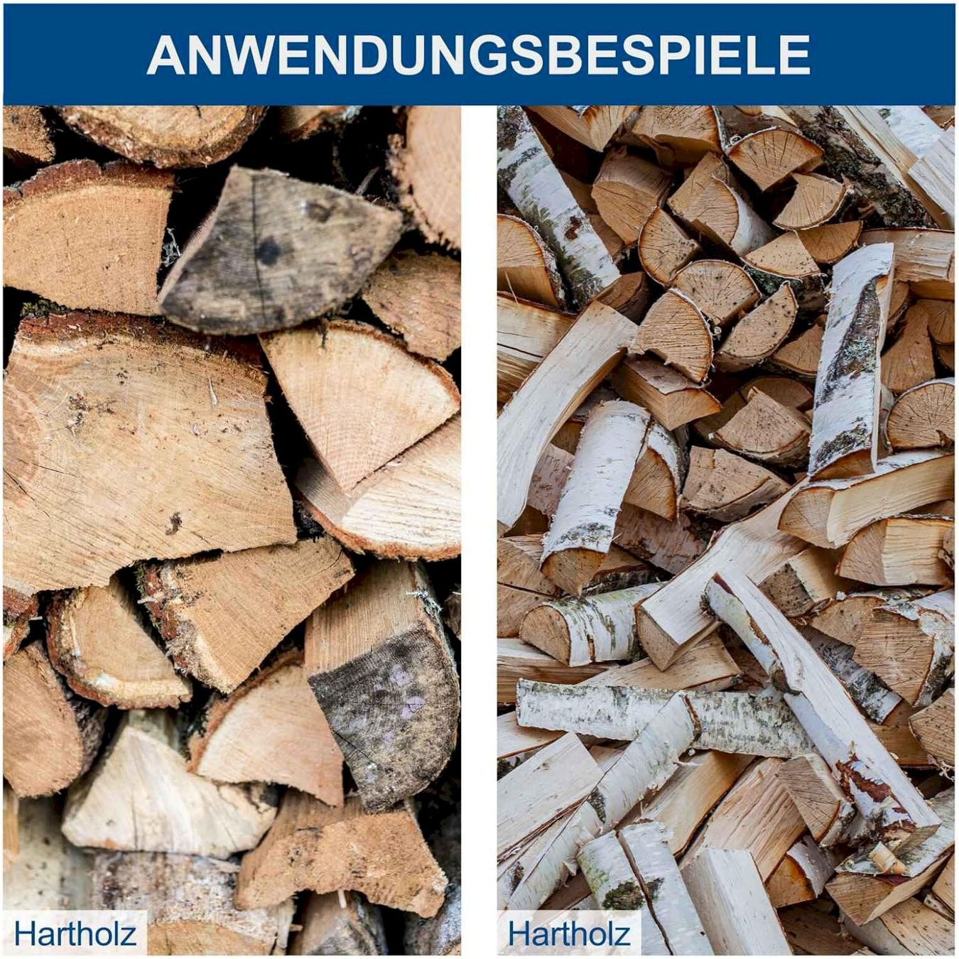 Scheppach Tutte le macchine: Scheppach Handholzspalter – Nuovo e nell'imballaggio originale da Bottighofen venduto da zaap 6