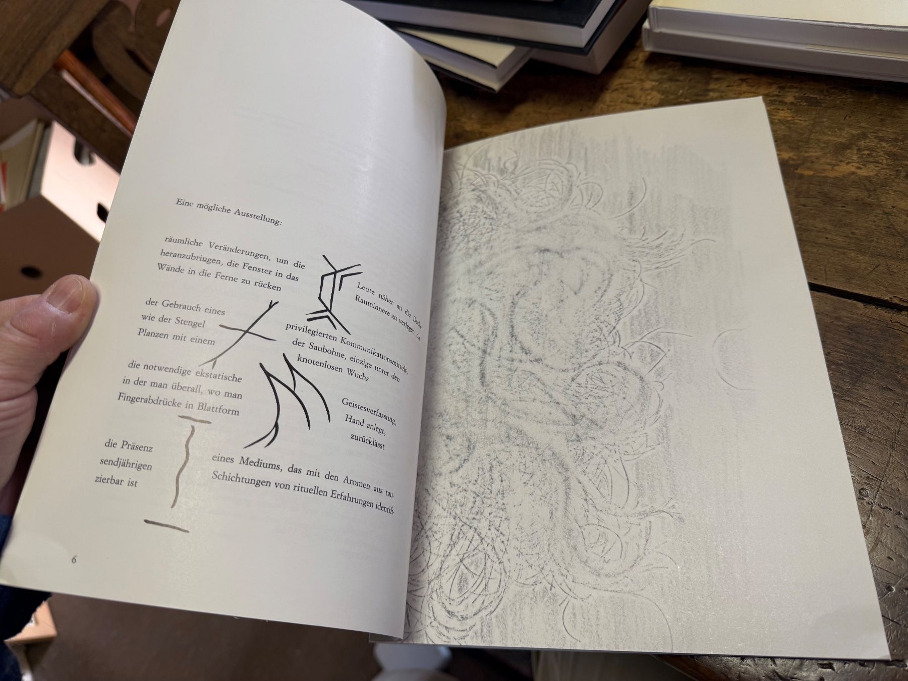 Libri: Giuseppe PENONE – Usato da Bern venduto da Jwpm66 6