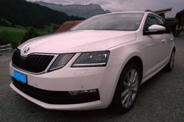 Skoda Octavia 2.0 TDI 4x4 Frisch ab Service und MFK