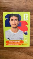 Panini FIFA WM 2026 Sticker NZL 15 Marko Stamencic