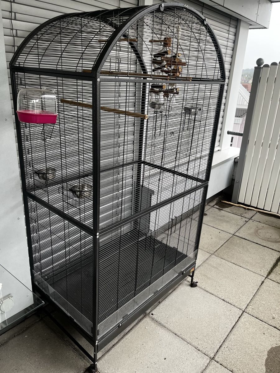 Gabbie, trasporto & Sicurezza: Voliere – Usato da Urdorf venduto da Rotti69
