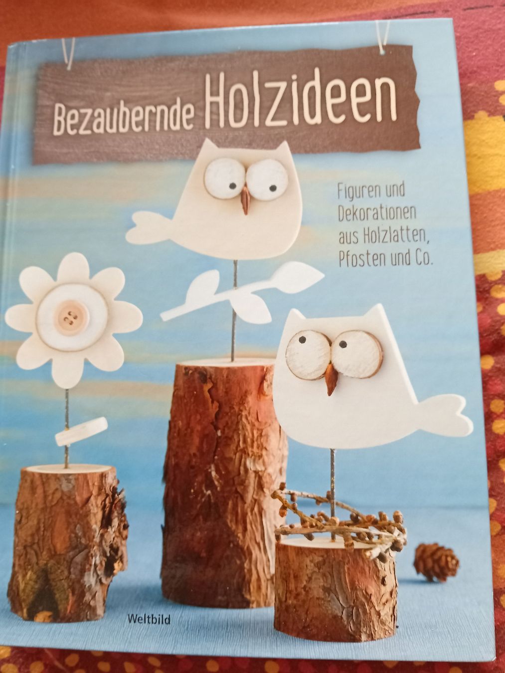 Libri: Buch: Bezaubernde Holzideen – Usato da Witterswil venduto da hele04