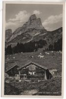 BRAUNWALDALP mit Eckstock - Bauer m. Kühe