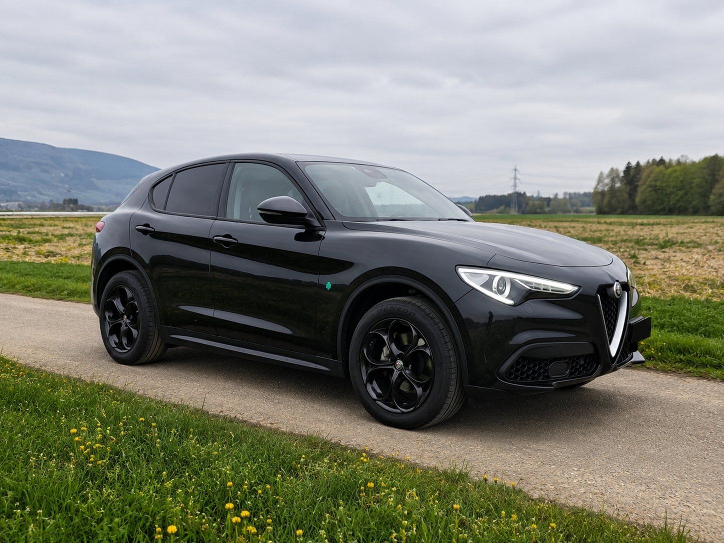 Alfa Romeo Automobili: Alfa Romeo Stelvio 2.0 Q4 280PS – Usato da Röthenbach Hbsee venduto da Ringgu 1