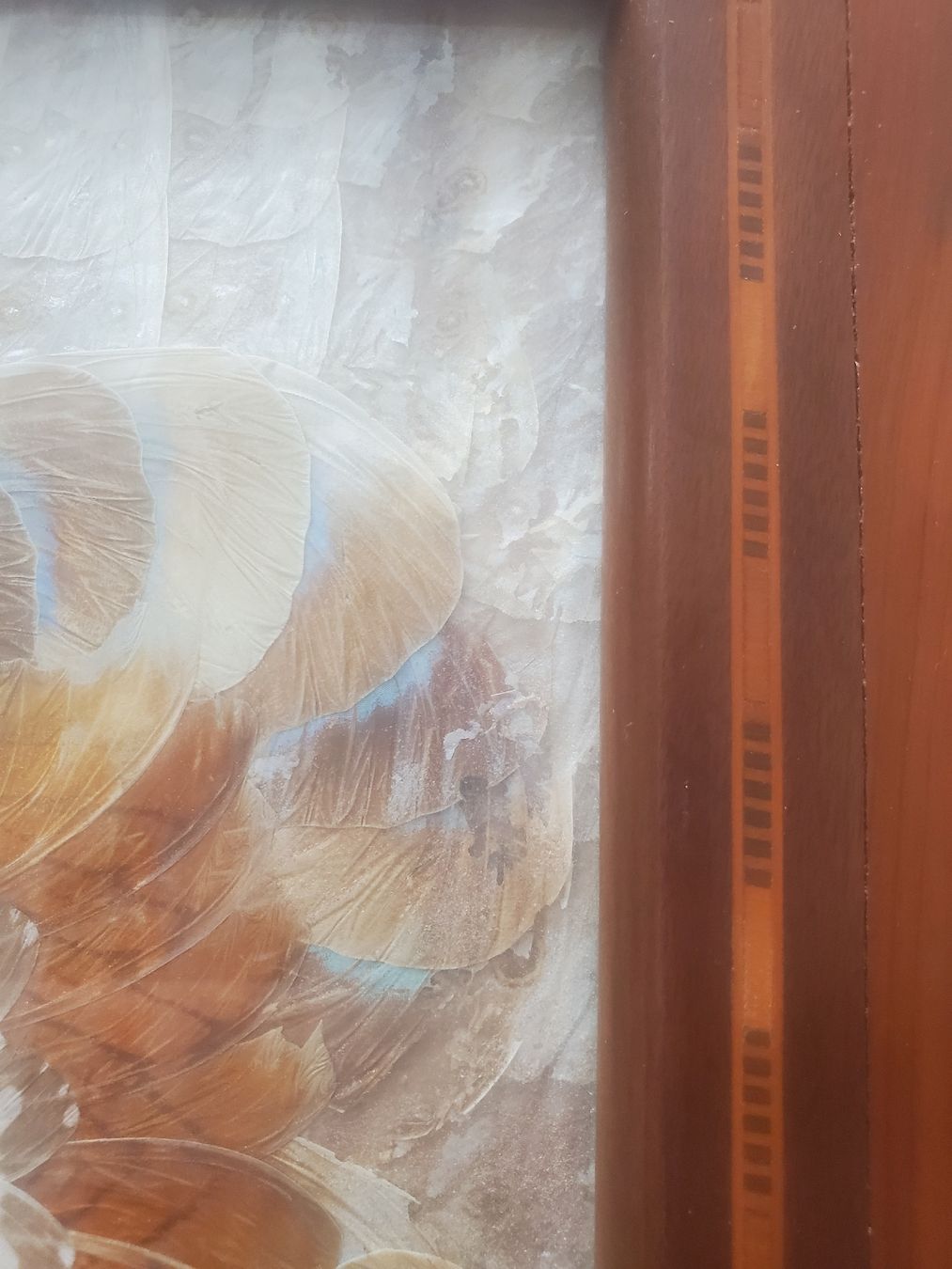 Dessous de verre: Antikes Schmetterlingsflügel-Tablett – D'occasion à Frauenfeld par BeneFull 3
