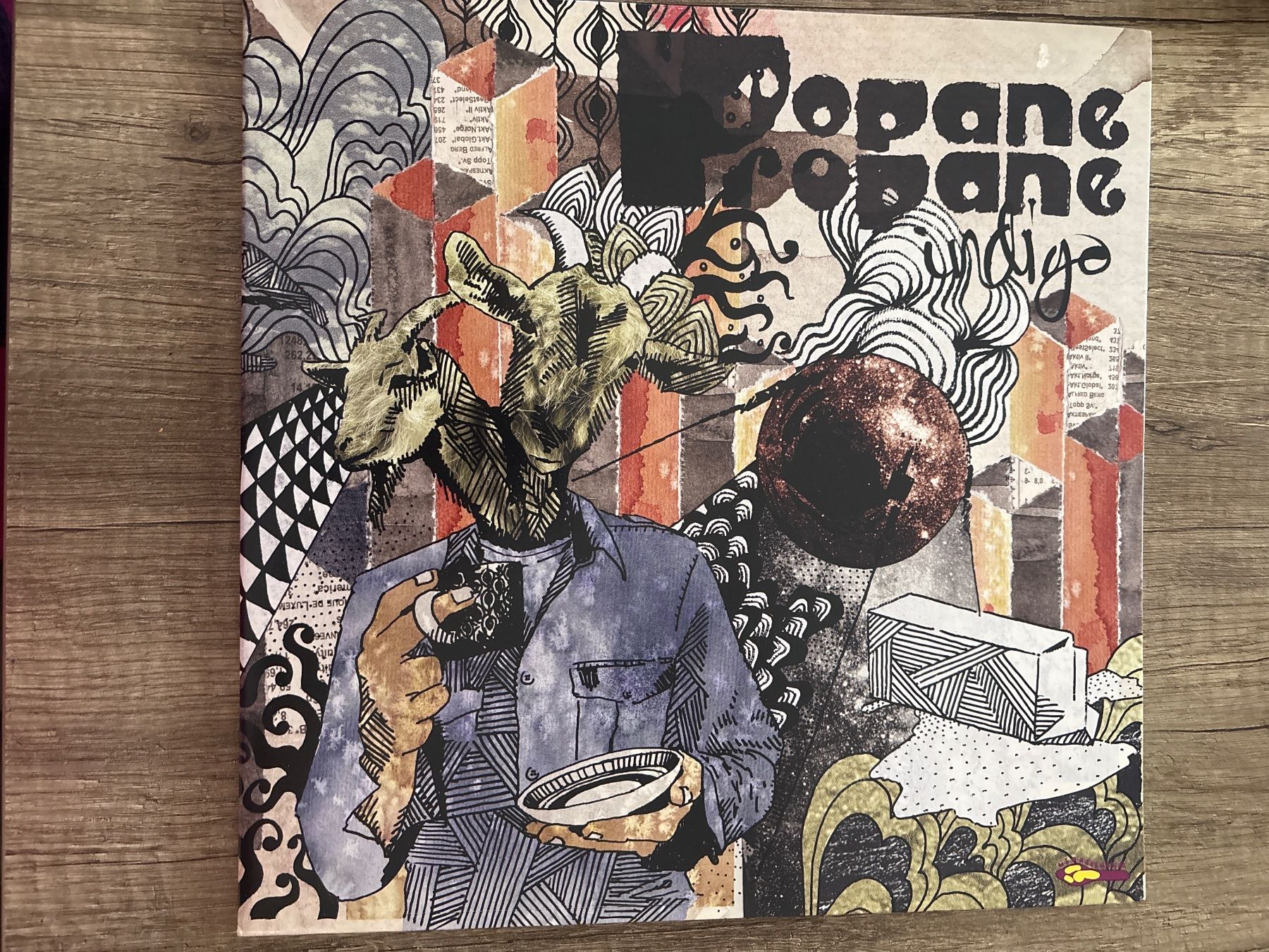 Vinyles: Propane Propane - Indigo Schallplatte – D'occasion à Frutigen par Philippe_jsp