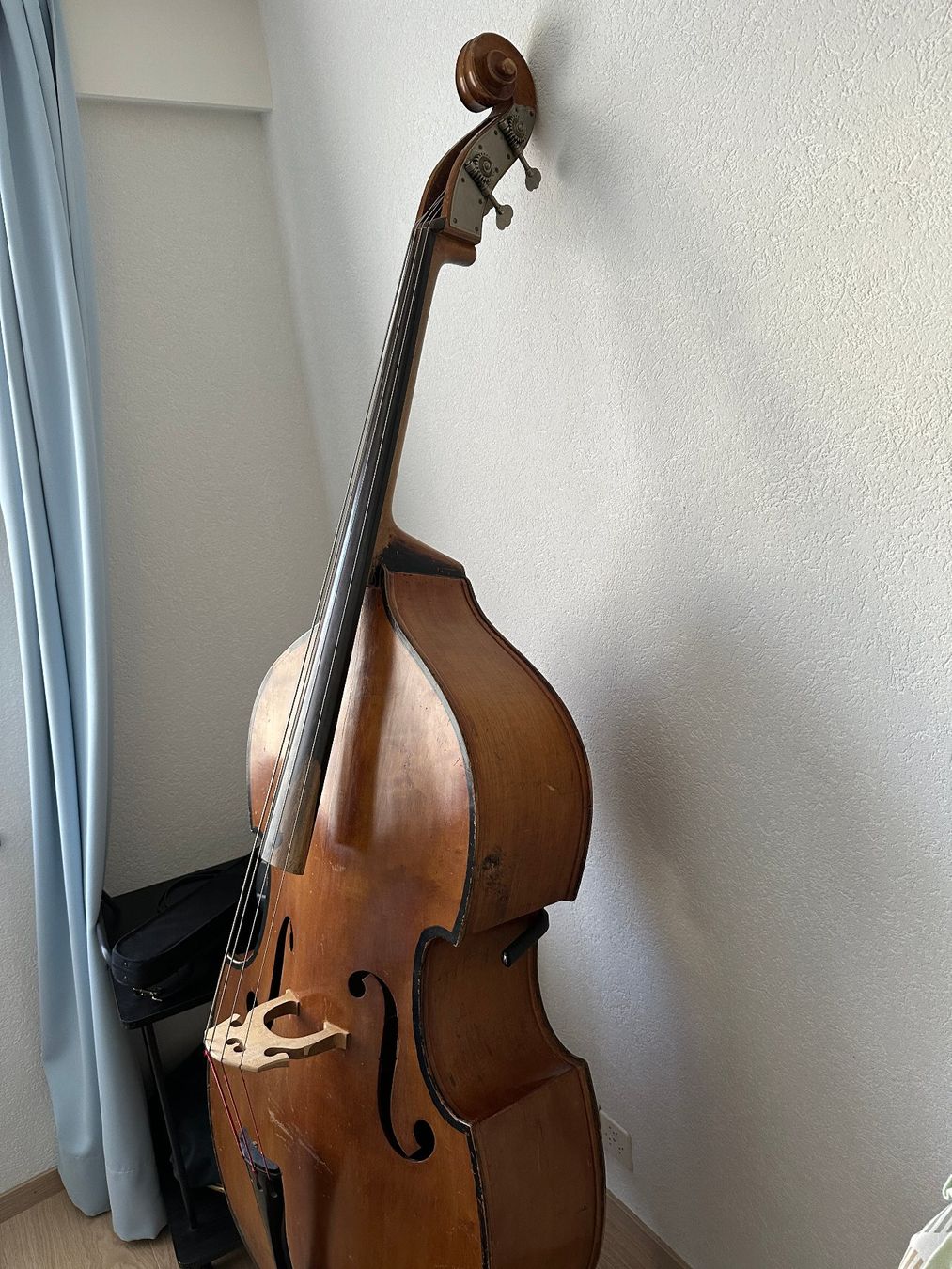 Framus Strumenti musicali: Contrebasse Framus 3/4 – Usato da Sion venduto da Floop