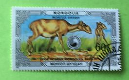 Briefmarken aus Mongolei gestempelt Siehe Original Fotos. 