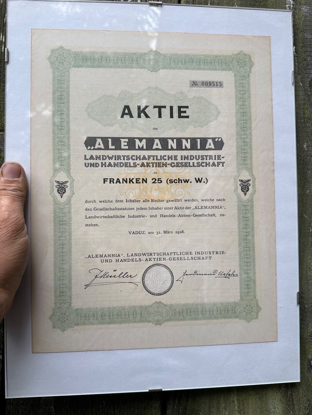 Documenti: Alemannia Aktie – Usato da Villmergen venduto da Bezdupe