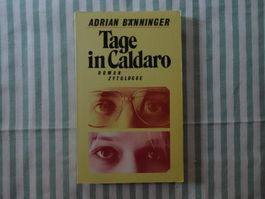 Adrian Bänninger - Tage in Caldaro - Roman - B766
