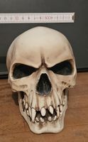 Deko Totenkopf Modell MM248 beige neuwertiger Zustand