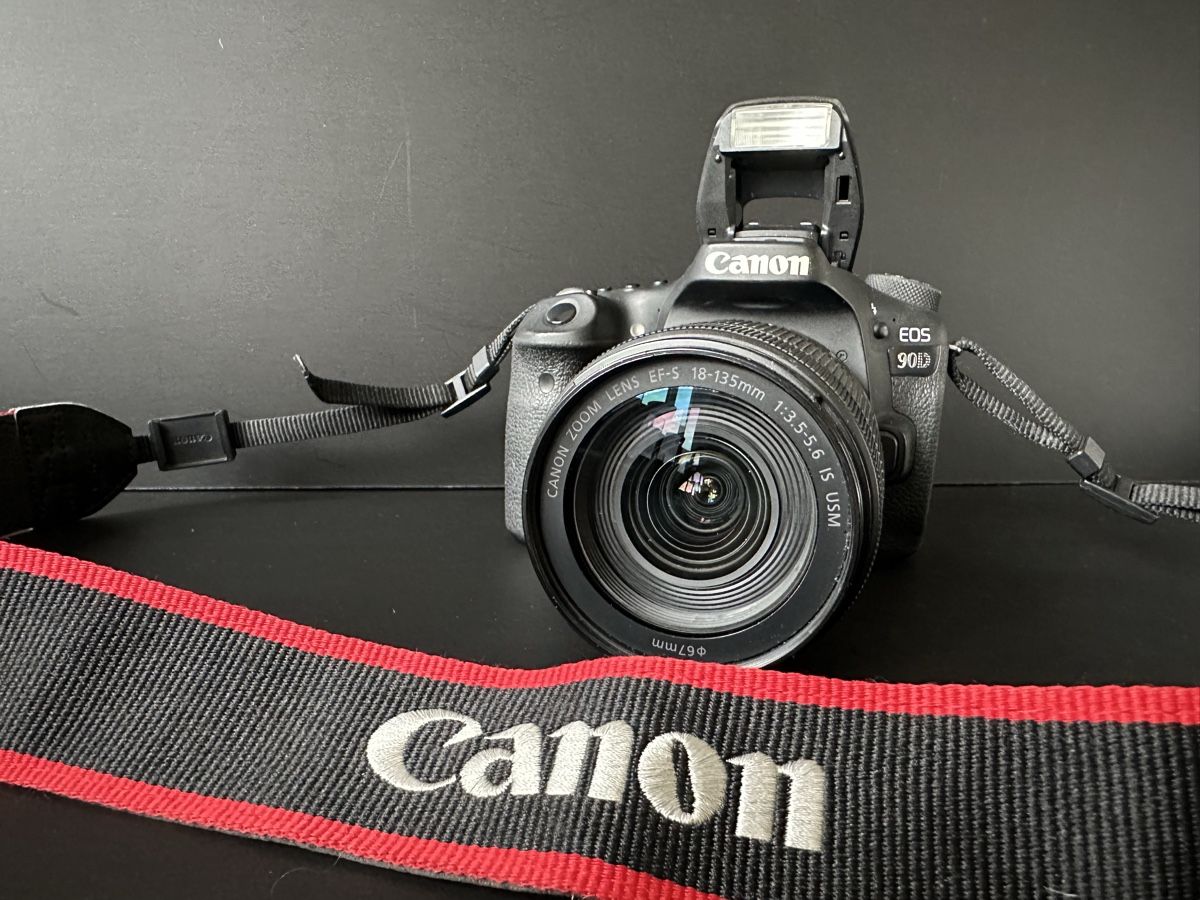 Canon Fotocamera: Canon EF-S 18-135mm lens – Usato da Luzern venduto da Adam.7-