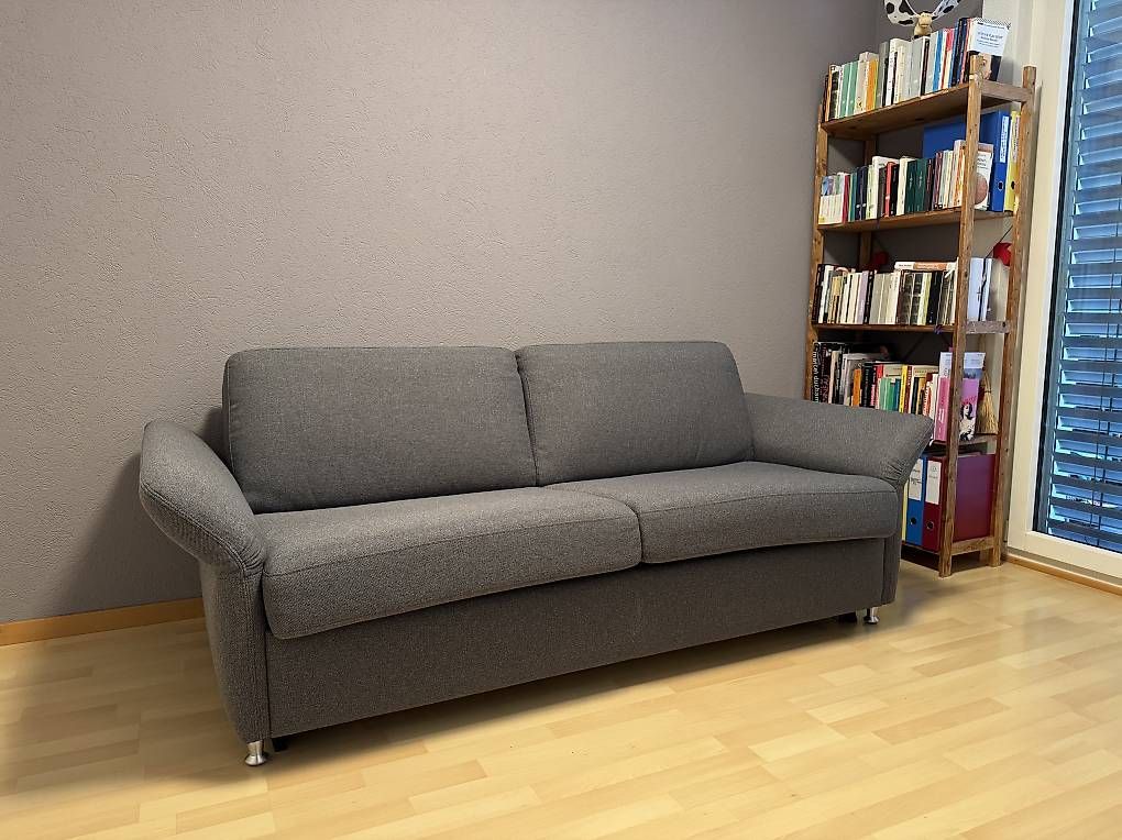 Sofas: Bettsofa (140x200cm) – Gebraucht aus Luzern von el_duende