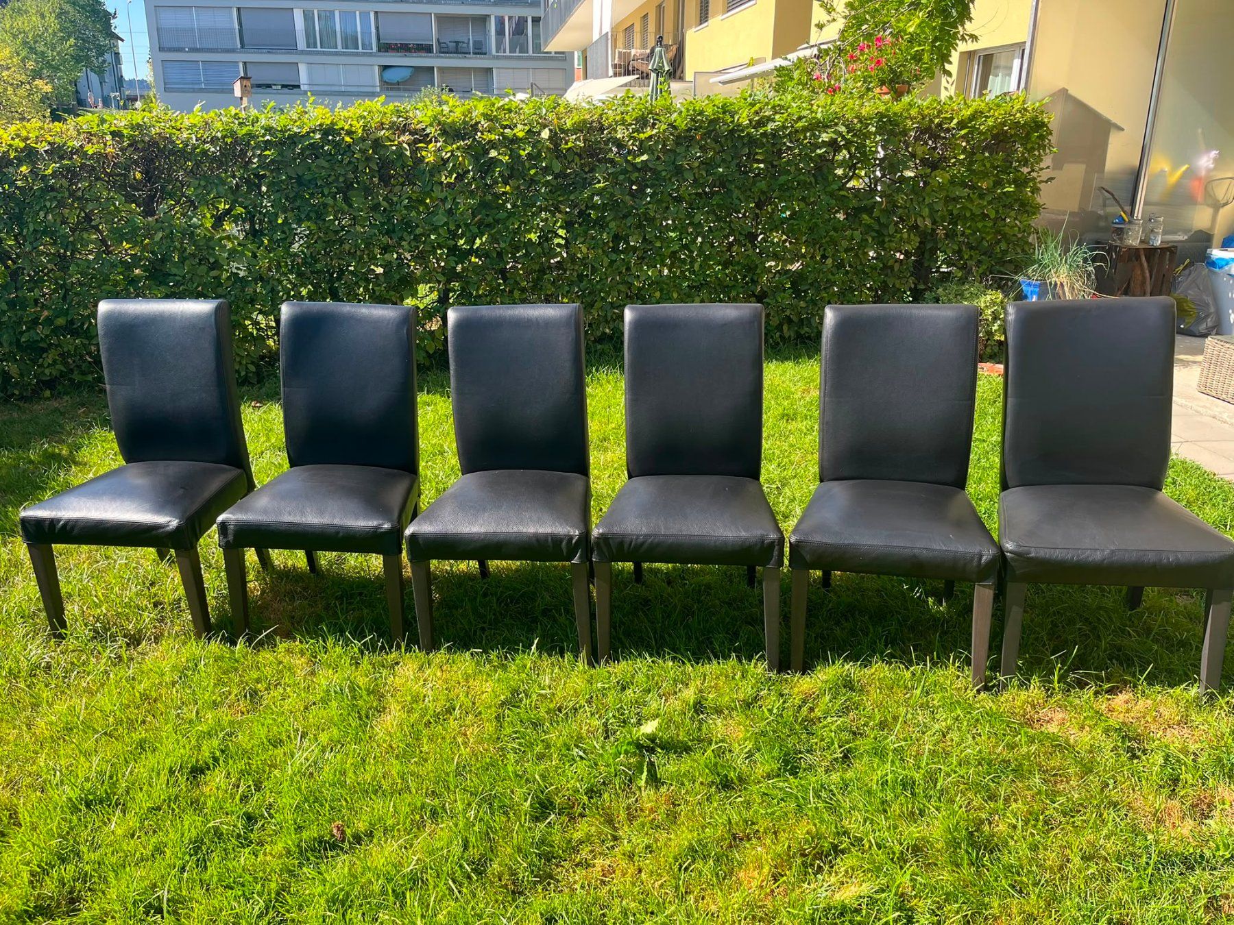 Ikea Sedie: 6x IKEA Henriksdal Stuhl echt Leder – Usato da Wil SG venduto da Klicks