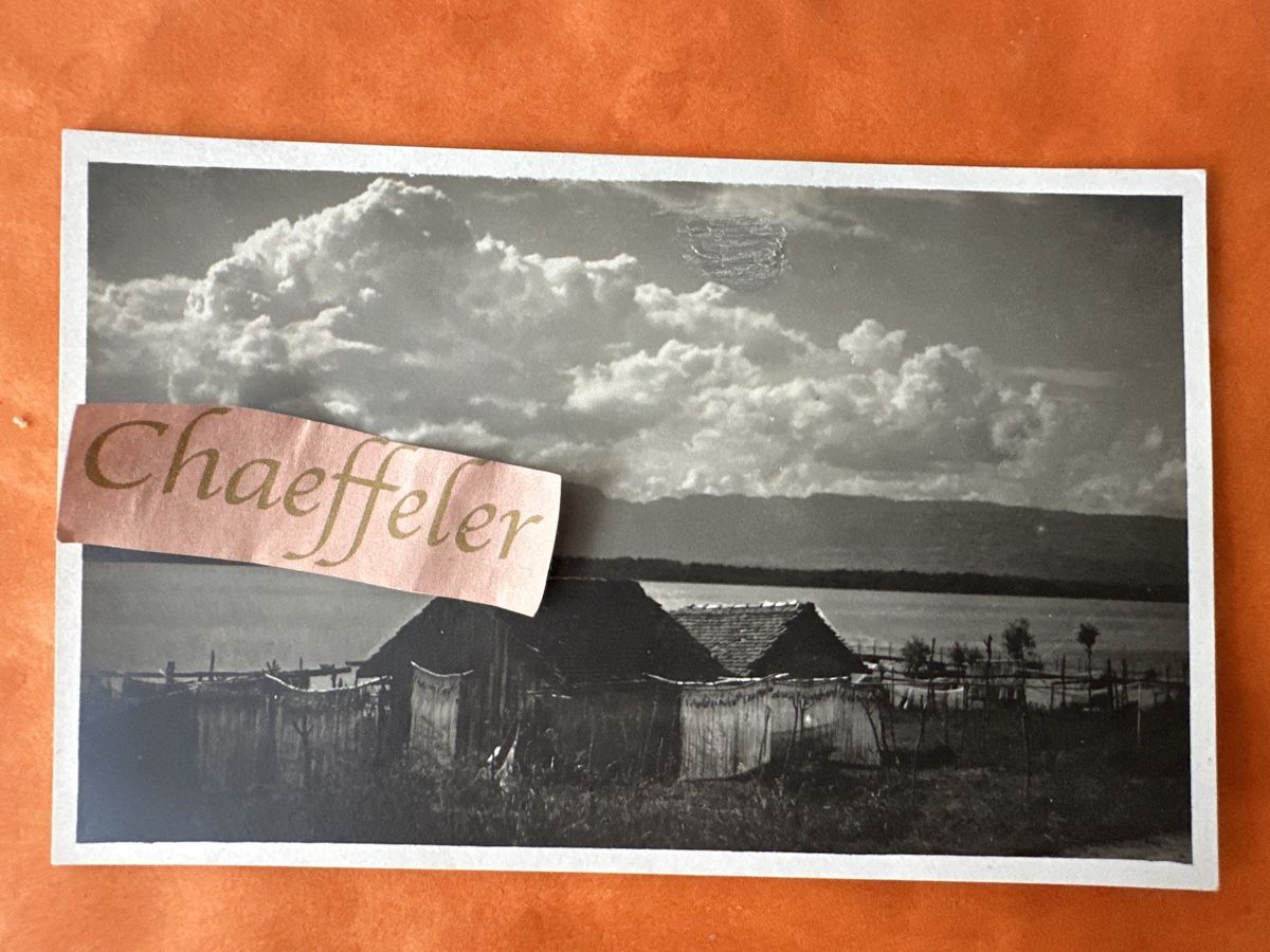 Cartoline postali: 27875 Au Lac léman – Usato da Zürich venduto da Chaeffeler