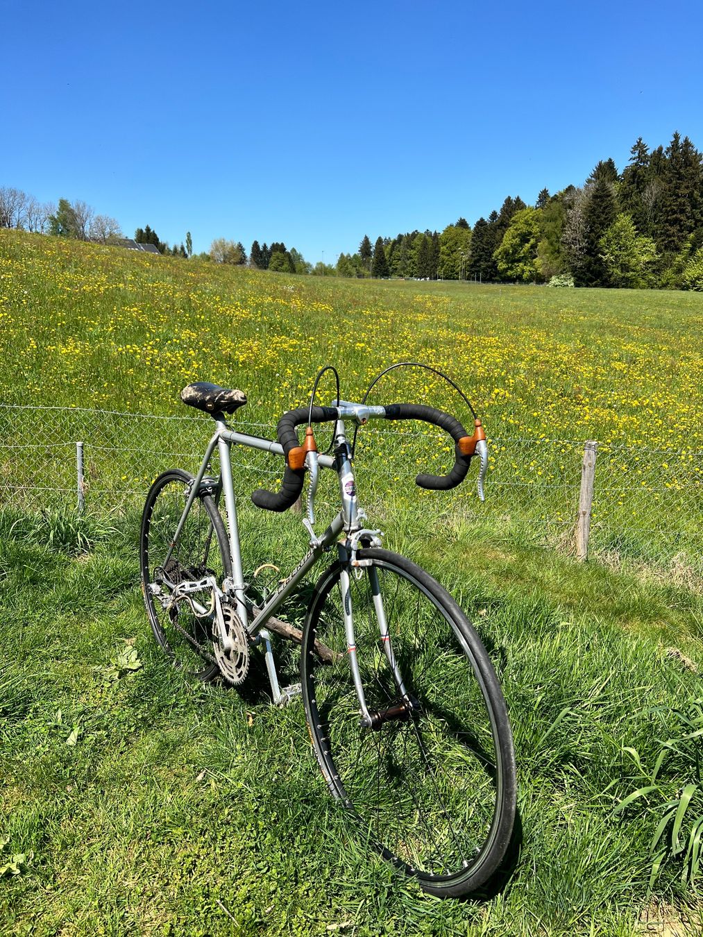 Biciclette: Vélo Vintage Liberia – Usato da Lausanne 26 venduto da twa_q6nq 2